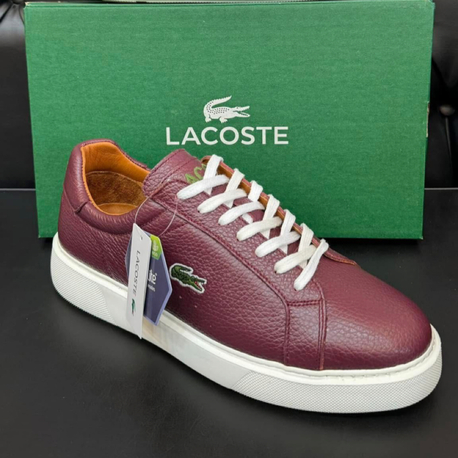 Lacoste Erkek Ayakkabı