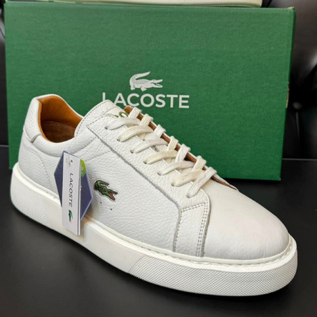 Lacoste Erkek Ayakkabı