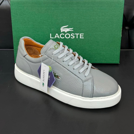 Lacoste Erkek Ayakkabı