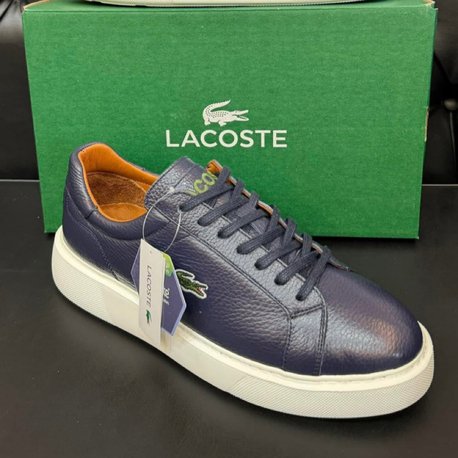 Lacoste Erkek Ayakkabı
