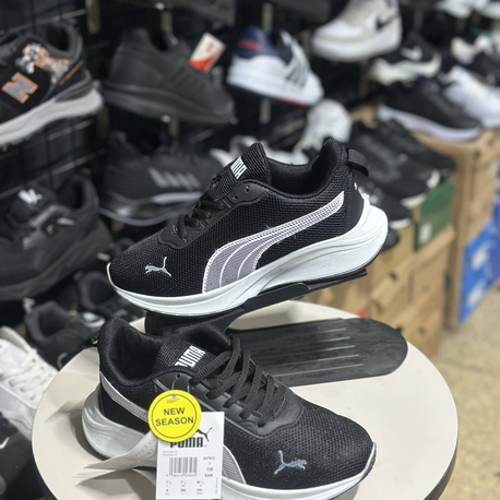 Puma model