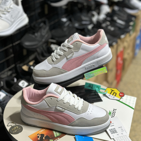 Puma model