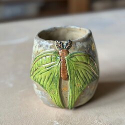 butterfly bardak