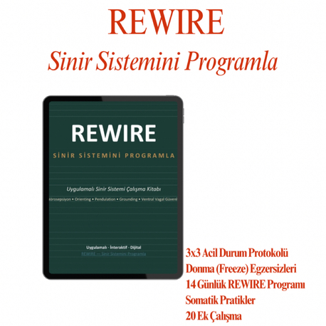 Rewire Uygulama Kitabı + 4 Haftalık Nörobilim Temelli Regülasyon Programı