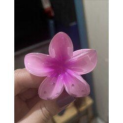 renk renk lotus toka 