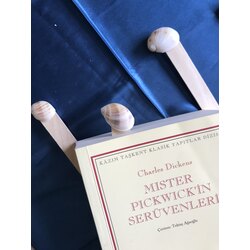 Kitap ayracı deniz kabuğu