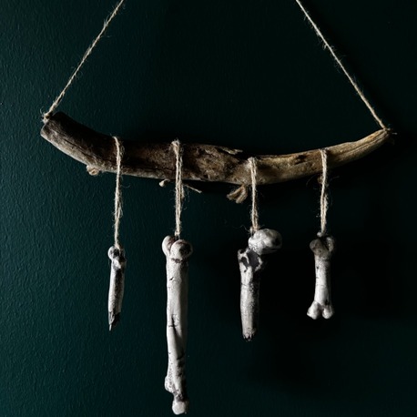 Bones Series - 2