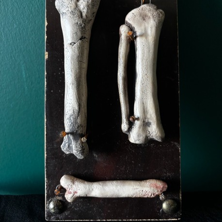 Bones Series - 3