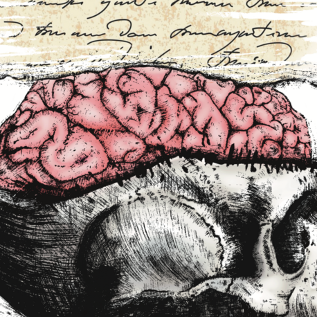 Inside The Head