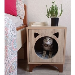 MODERN CAT HOUSE