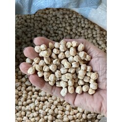 İlaçsız Nohut Yeni Sezon 5 kg (yeni hasat özel seçim)