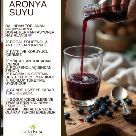 Katkısız Aronya Meyve Suyu 250 ml Tanıtım Fiyatı 