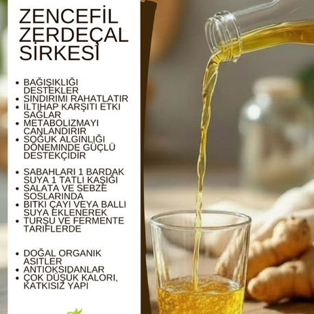 Zencefil Zerdeçal Sirkesi