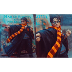 HARRY POTTER