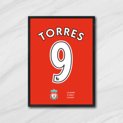Liverpool - Fernando Torres Forma Tablo