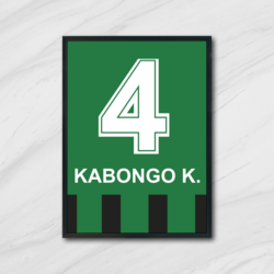 Sakarya Çubuklusu - Kabongo Forma Tablo