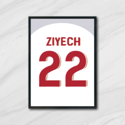 Aslan Beyazı - Hakim Ziyech Forma Tablo