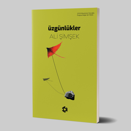 Üzgünlükler 