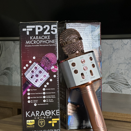 KARAOKE MİKROFON