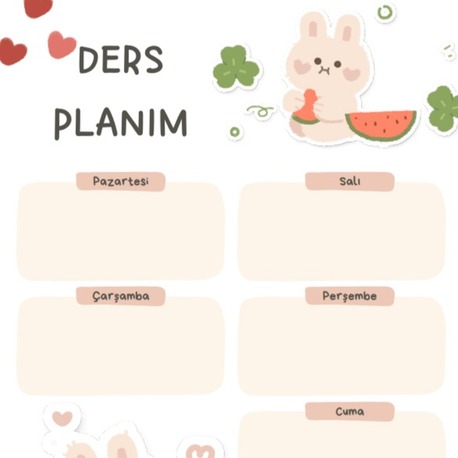 Tavşan desenli DERS PLANI/DERS PROGRAMI