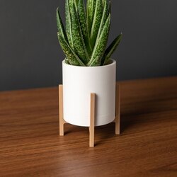 Dekoratif Modern Saksı Düz Ayaklık
