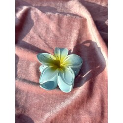Mavi Lotus Toka (Orta Boy)
