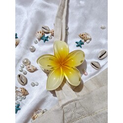 aloha toka lotus toka manolya çiçek