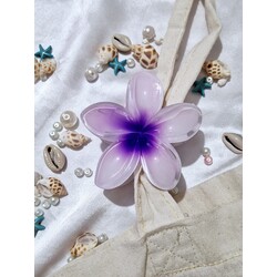 aloha toka lotus toka manolya çiçek