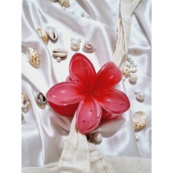 aloha toka lotus toka manolya çiçek
