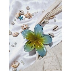 aloha toka lotus toka manolya çiçek