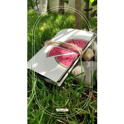 SD07 KARPUZ DEFTER