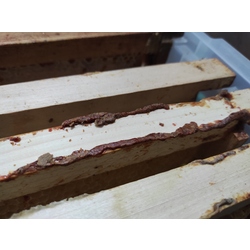 Ham Propolis 100 Gr