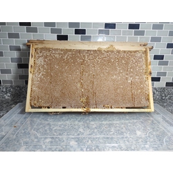 Yayla Petek Balı 1000 Gr
