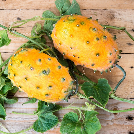 Kiwano 