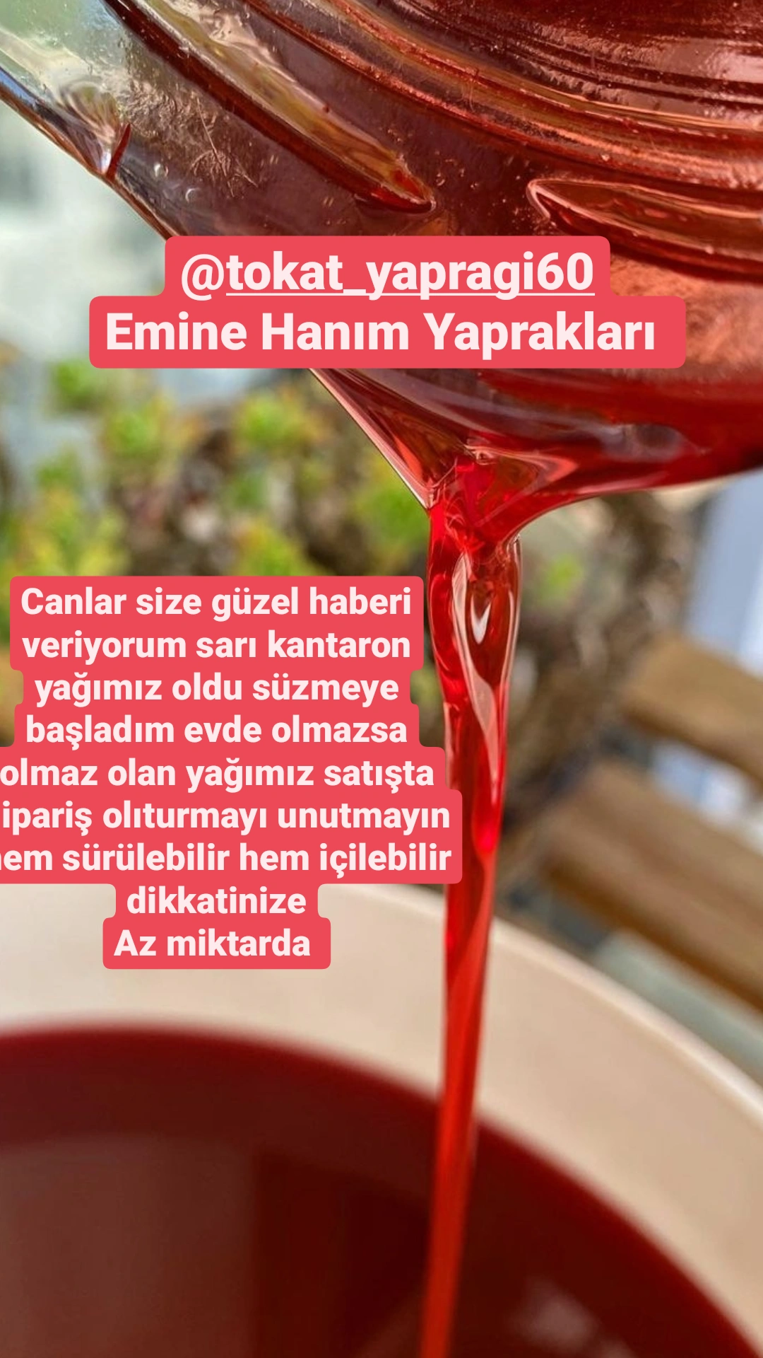 Sari kantaron yağı 50ml cam şişe 