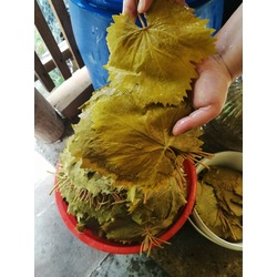 salamura erbaa yaprağı 5kg