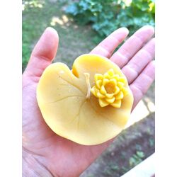 Lotus çiçeği mum