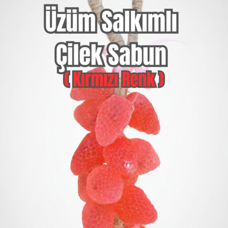  SALKIM SABUN ÇİLEK   GÖRÜNÜMLÜ (KIRMIZI)