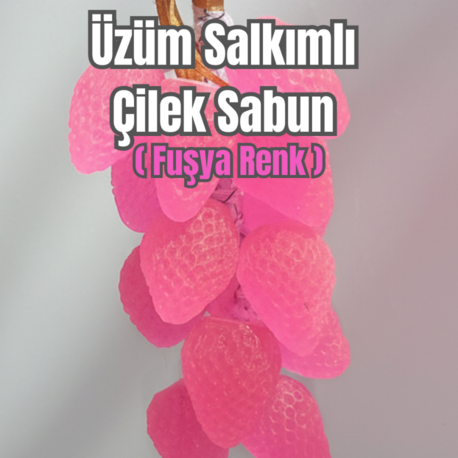 SALKIM SABUN ÇİLEK   GÖRÜNÜMLÜ (FUŞYA)