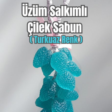 SALKIM SABUN ÇİLEK  GÖRÜNÜMLÜ (TURKUAZ)