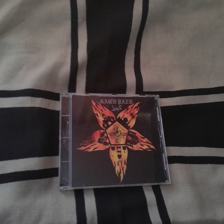 Mogh - Gach Pazh