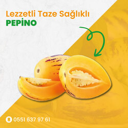 PEPİNO (5 ADET)
