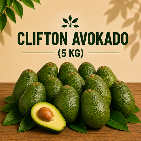 5KG AVOKADO (Clifton)