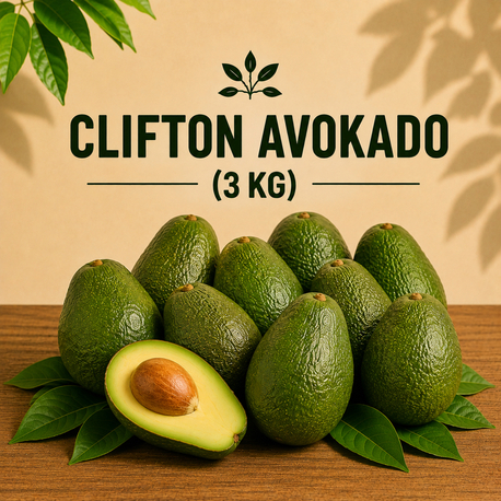 3KG AVOKADO (Clifton)