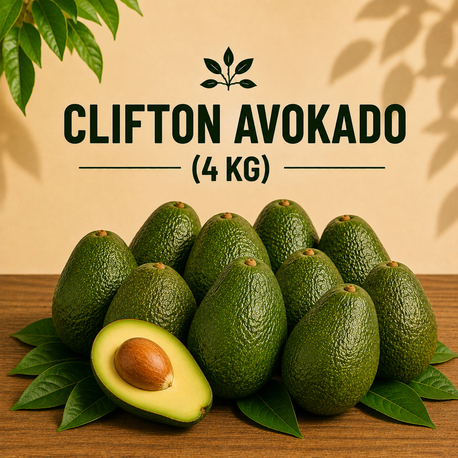 4KG AVOKADO (Clifton)