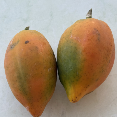 Papaya / 1 kg