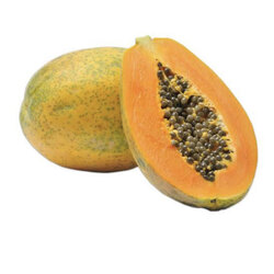 papaya (ağaç kavunu) kg
