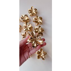 Lotus Gold Toka 