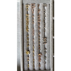 Tragus Çelik Küpe