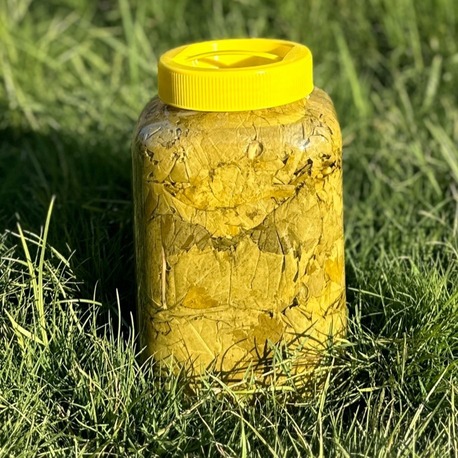 2026 SEZONU UMAİ YAPRAK SALAMURA  5 kg'lık Bidon